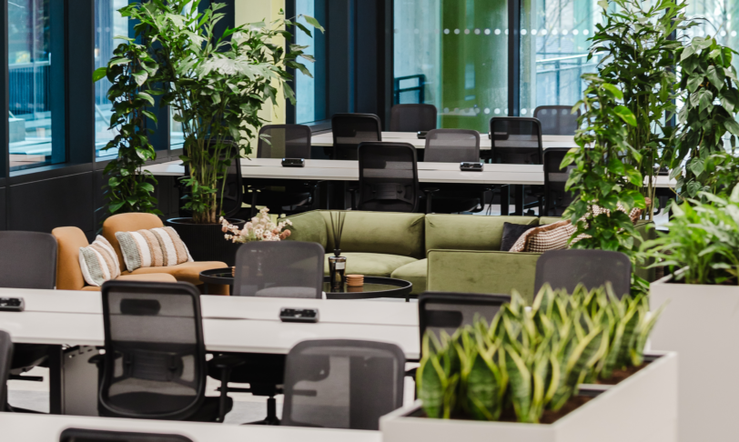 An open plan office with desks, lockers, indoor plants and a green sofa in the background