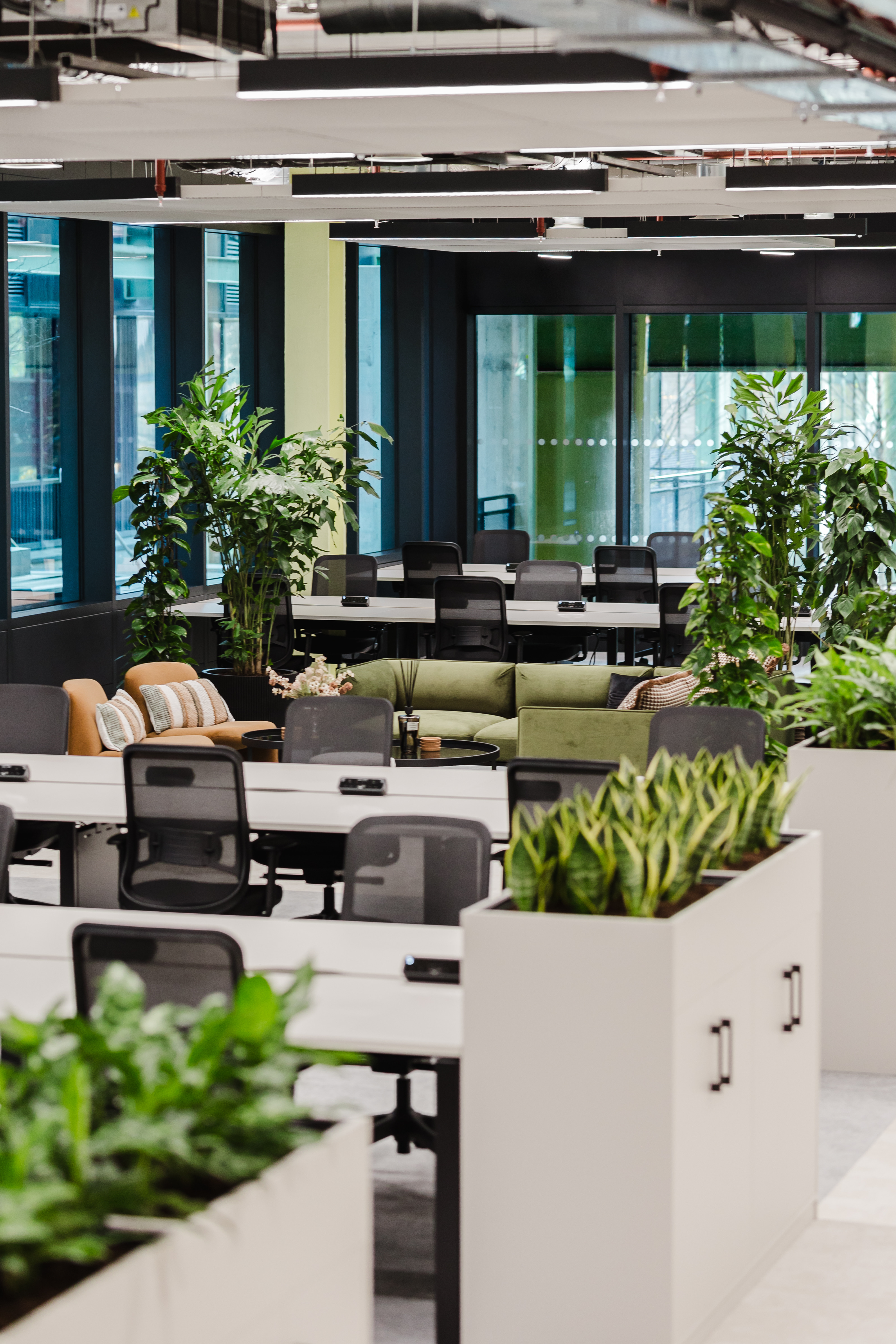 An open plan office with desks, lockers, indoor plants and a green sofa in the background