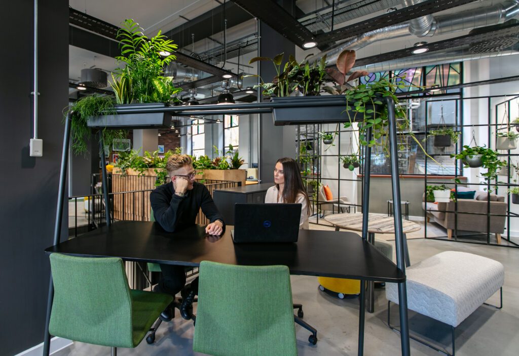 Two people sat at a collaboration table together having a meeting, with hanging planting above them