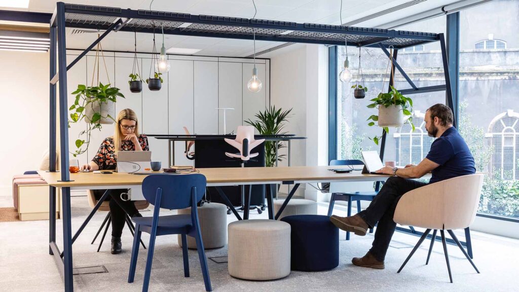 Desk with hanging plants and lights at Granger Reis. There are employees working in this office fit-out by Interaction.