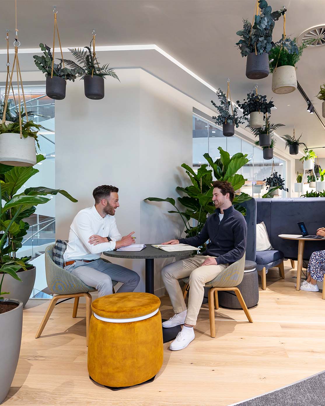 Modern office space with two men chatting with hanging plants and yellow stool