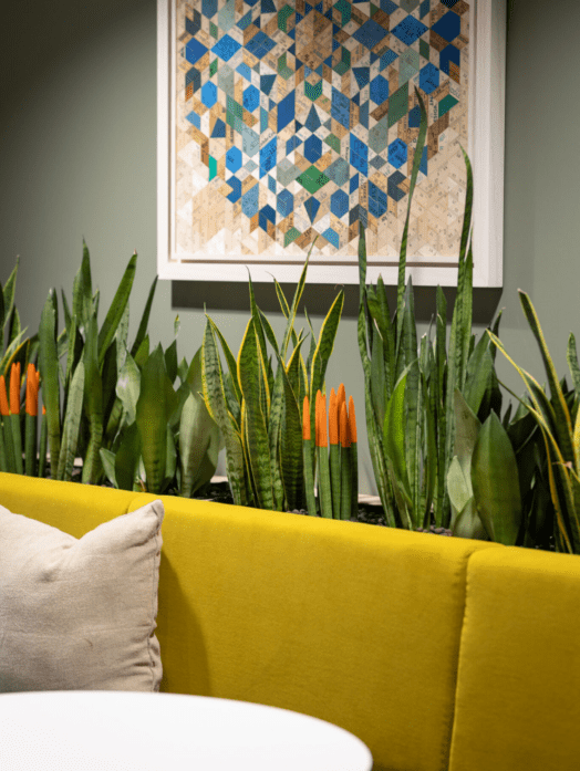 Office greenery against yellow banquette seating with recycled ruler artwork hanging above