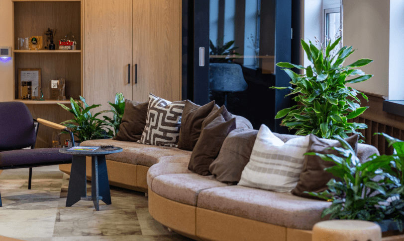 Curved cork sofa with purple and brown cushions and indoor planting