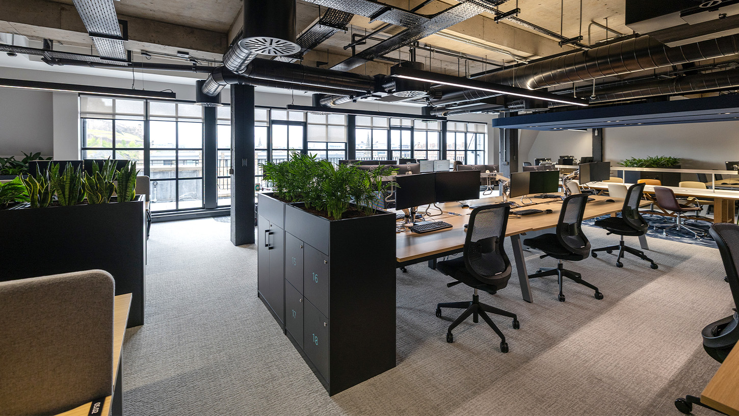 Office desk area with black lockers and planting