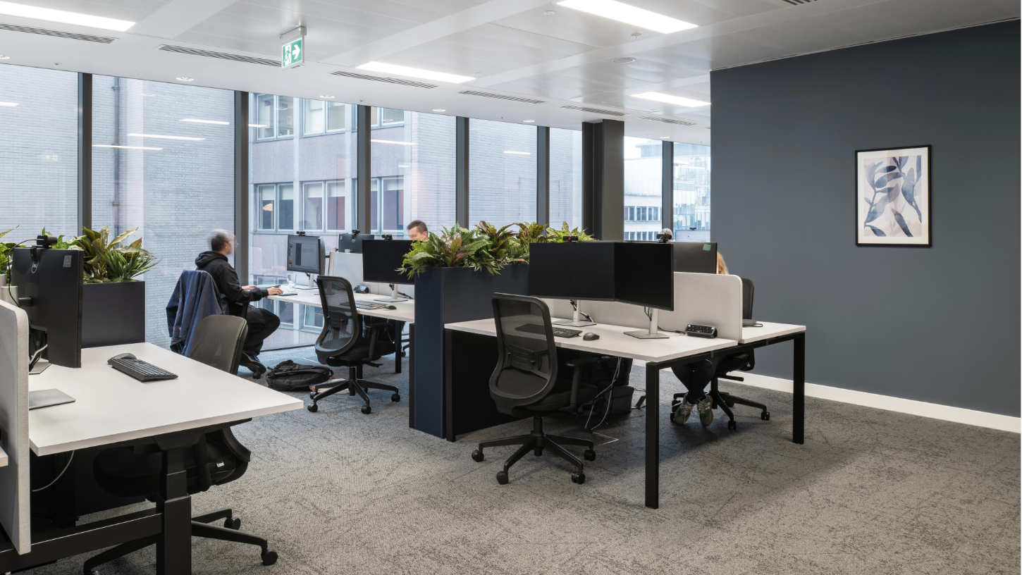 A row of desk banks, with planter divides of foliage offering privacy without feeling clinical.