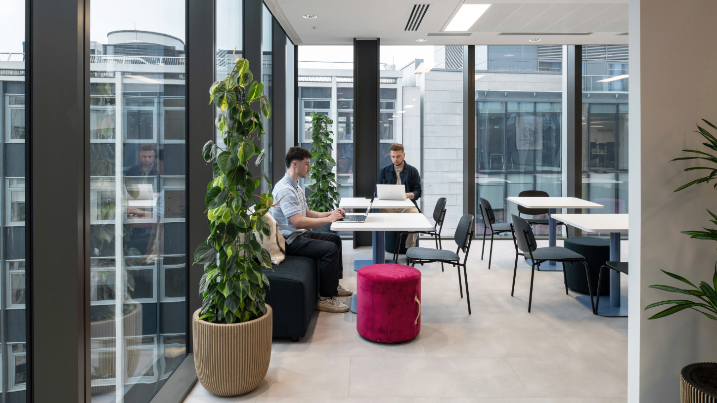 A breakout corner with potted foliage, pops of pink colour and city views.